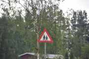 Hva vi jakter på nå er jeg ikke helt sikker på, kanskje vi bare passer på?