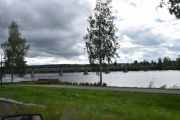 Tro det eller ei, det passerte  ikke en eneste bil før jeg så denne brua her. Tror vi er litt nedenfor Elverum