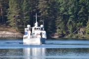 M/S Telemarken er opprinnelig svensk, bygd ved Vesterviken Nya Varv AB i 1951, den ble døpt "Frøya" og senere fikk den navnet "Karsøn".