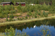 La deg ikke lure av disse to her, dem er falske eller uekte og blir dratt fram og tilbake i snoren under vannet