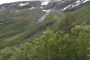 Barsk natur