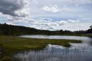 Men her ser du Lygnatjern, et idyllisk lite vann