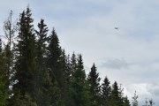 Vi kjører videre nedover og finner ikke fugler eller Elg, men vi kan alltids ta et bilde av fly