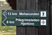 Et eller annet sted her i morgen tidlig, skal jeg på fugl og Moskus jakt på egenhånd
