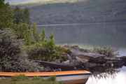 Ser dere kulen midt i bilde oppe på fjellet? Jeg trodde selvfølgelig at det var en fugl