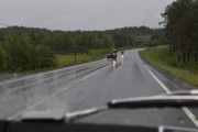 Kjøre motorsykkel i dette været er rene selvmordet spør du meg