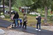 Noen Renault hunder har vi også, men er den lille bak, er det ungen som skulle ha ligget i barnevognen?