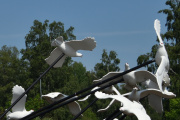 Fredag. Vi er fremdeles på Skarnes, dem har to rundkjøringer. Hvite fugler som minner deg om, ja hva minner dem deg om...
