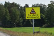 Fredag. Disse skiltene blir satt opp når turistene skal komme, den elgen er så oppskrytt her oppe, at jeg vet ikke hva