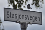 Ta den veien, da passerer du Våler nye kirke som ligger i Stasjonsvegen 1. Den gamle kirken brant ned natt til 29. mai 2009, men Våler kapell fra 1911 står enda