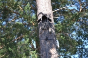 Fuglehus er ikke deres greie her på campingplassen tydeligvis