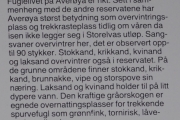 Her kan dere lese om hvilke fugler man kan observere her ute