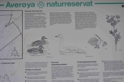 Nå skal vi inn i buskene, her ute heter det Averøya naturreservat