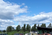 Her står hun og tar dere i profil mens jeg møter dere i bakken