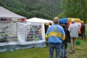 Lørdag formiddag (16)