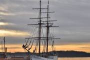 Oslo Havn. Seilskute