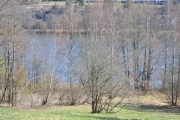 Fremdeles glissent mellom grenene