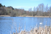 Utsikt over nordenden av vannet