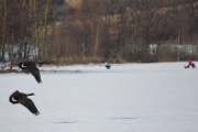 Østensjøvannet 11 mars 2017 - De danser over isen