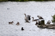 Et eller annet var det