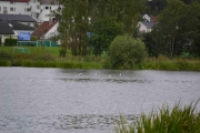 Ikke mange fugler på vannet nå