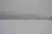 Østensjøvannet 16 desember 2017 (15)_01