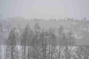 Kontrastbilde blir ikke så veldig kontrast i dag og så snør det