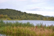 Oversiktsbilde med fugleobservatoriet i bakgrunnen