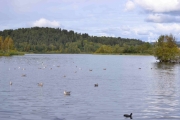 Østensjøvannet retning nord vest over