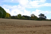 Knipser et par bilder til
