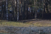 Hadde jeg bare hatt en sterkere linse