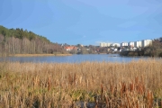 Østensjøvannet fra fugleobservatoriet - nordover