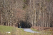 Her kom vi ut av skogen