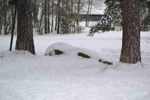 Østensjøvannet 20 januar 2018