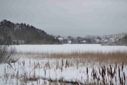 Utsikt fra fugleobservatoriet nordover