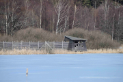 Fugleobservatoriet, nærmere kommer jeg ikke