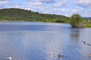 Østensjøvannet