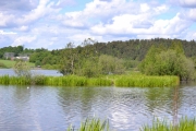 Grønt og fint på Østensjøvannet