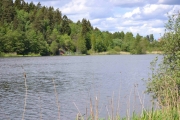 Østensjøvannet mot nord