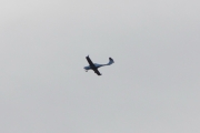 Det er et lite propellfly med den tynne halespissen, ikke rart jeg tok det som en fugl med en gang