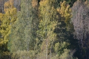 Ser på fargene