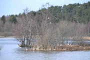 Østensjøvannet 8 april 2017 - Motiv