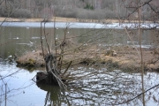 Østensjøvannet 8 april 2017 - Motiv