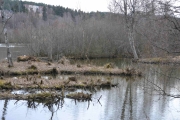 Østensjøvannet 8 april 2017 - Motiv