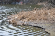 Østensjøvannet 8 april 2017 - Oversiktsbilde