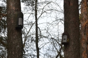 Østensjøvannet 8 april 2017 - Flaggermus kasse