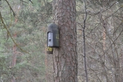 Østensjøvannet 8 april 2017 - Flaggermus kasse