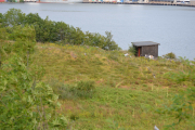 Bleikøya - Et skur i ny og ne, men det skremmer ikke fuglene