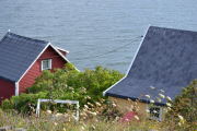 Bleikøya - Vi ser på noen hus på veien