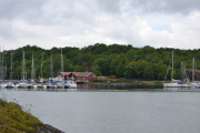 Hovedøya - Det er mange båter her også